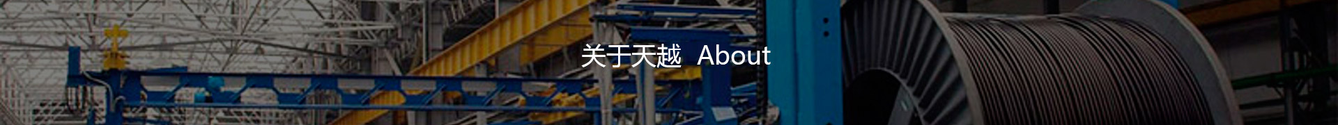 频道小图-关于天越
